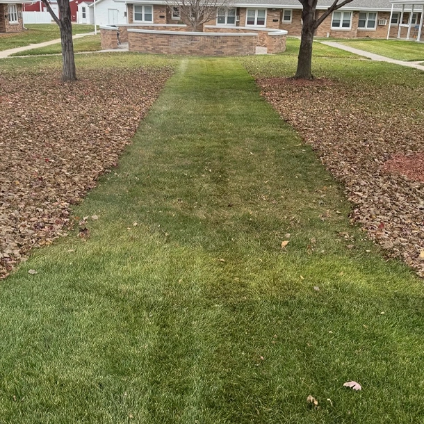 Fall Leaf Clean-up Norfolk, NE